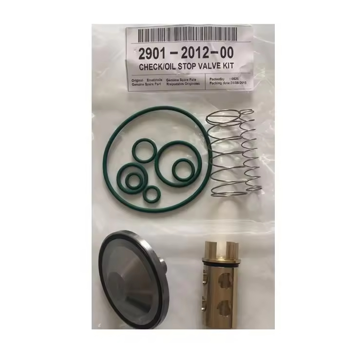Kits de service de clapet anti-retour d'huile de haute qualité pour Atlas Copco 2901021200