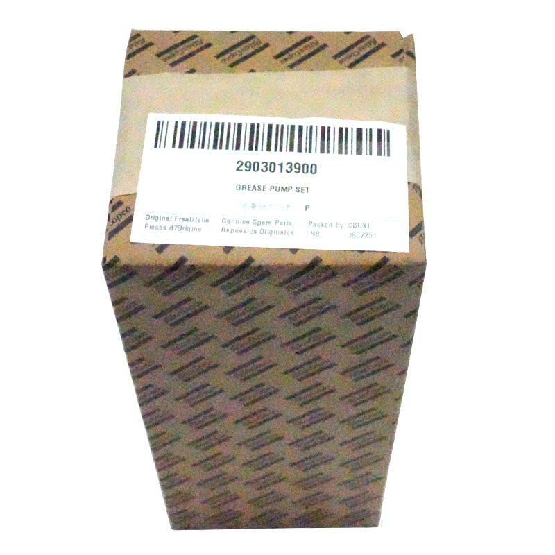 2903013900 JEU DE POMPE À GRAISSE